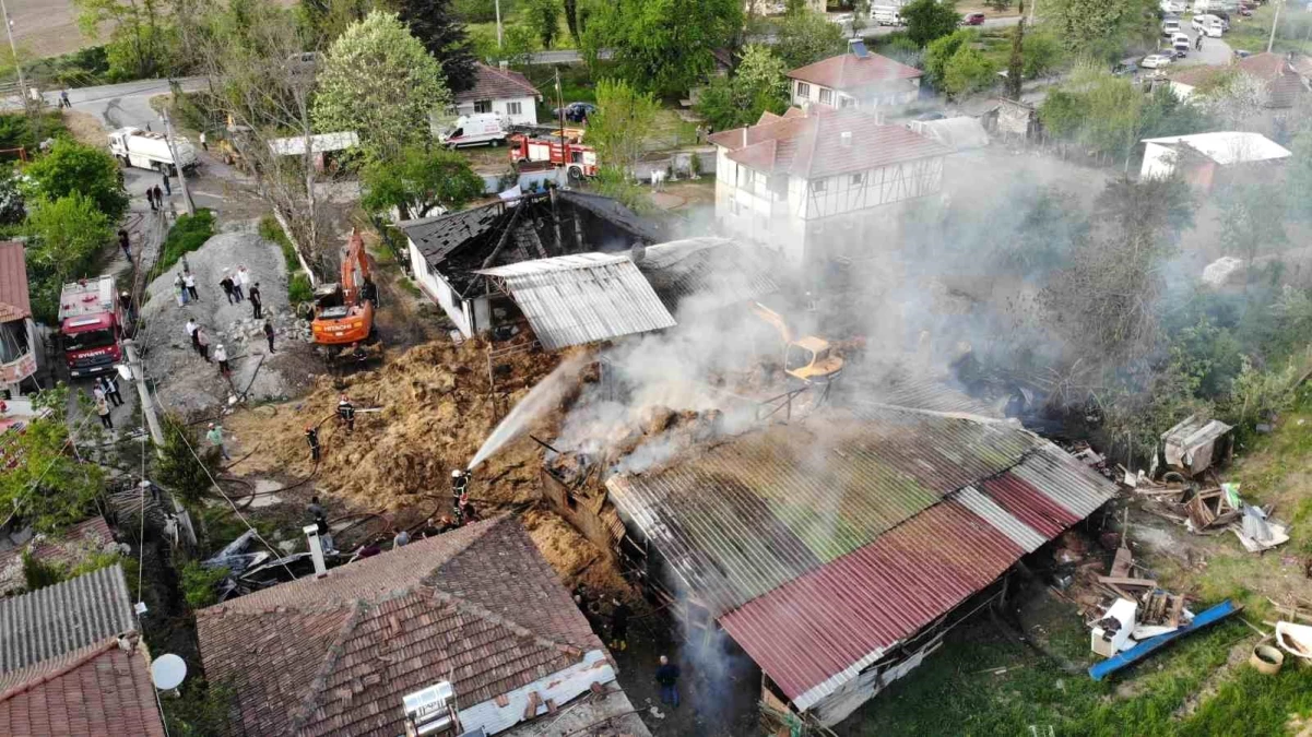 Sakarya'da Besi Çiftliği Alev Alev Yandı