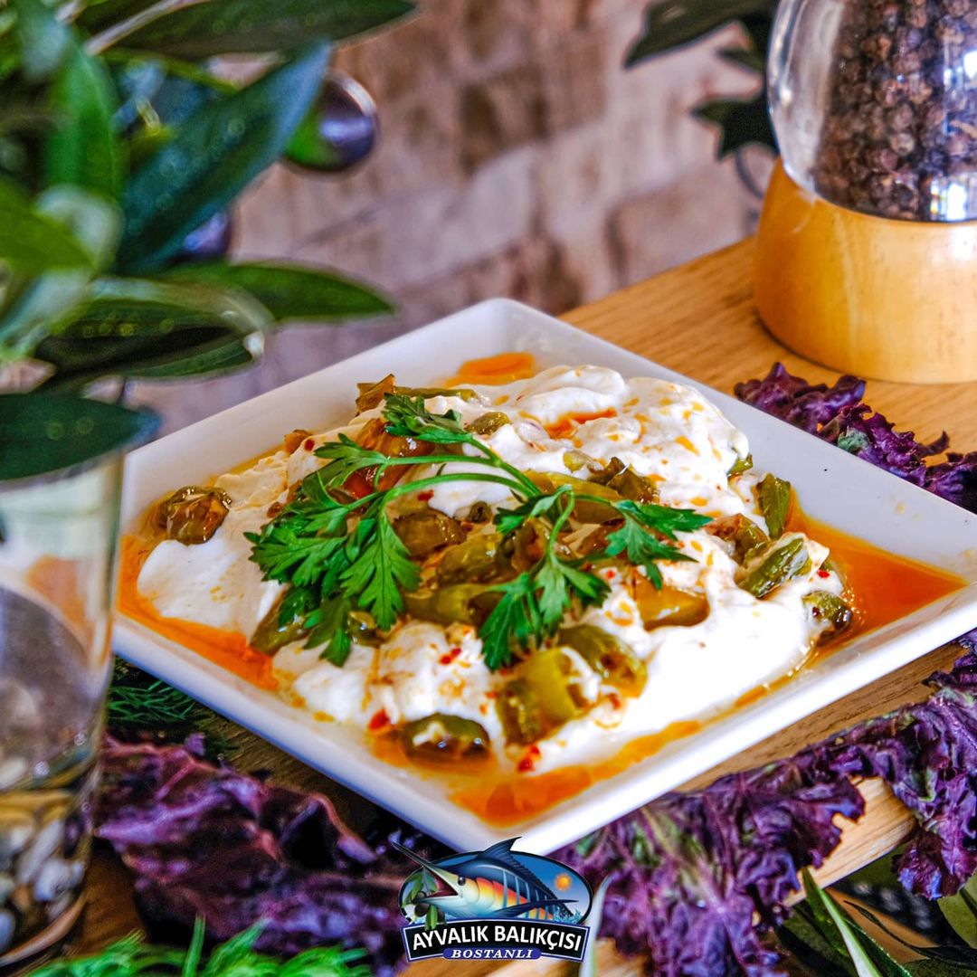 Ayvalık Balıkçısı Fotoğrafları