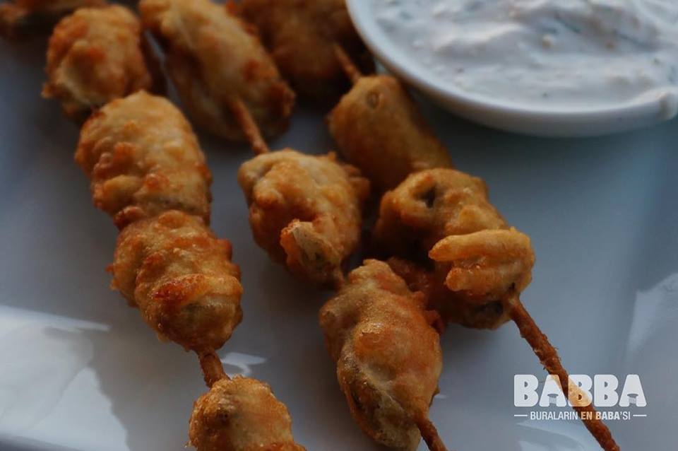 Babba Zeytinalanı Fotoğrafları