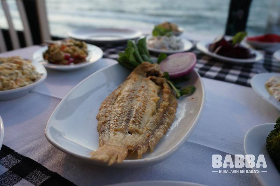 Babba Zeytinalanı Fotoğrafları