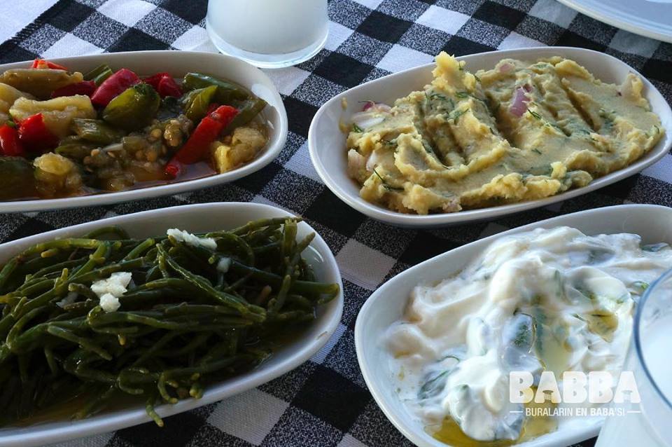 Babba Zeytinalanı Fotoğrafları