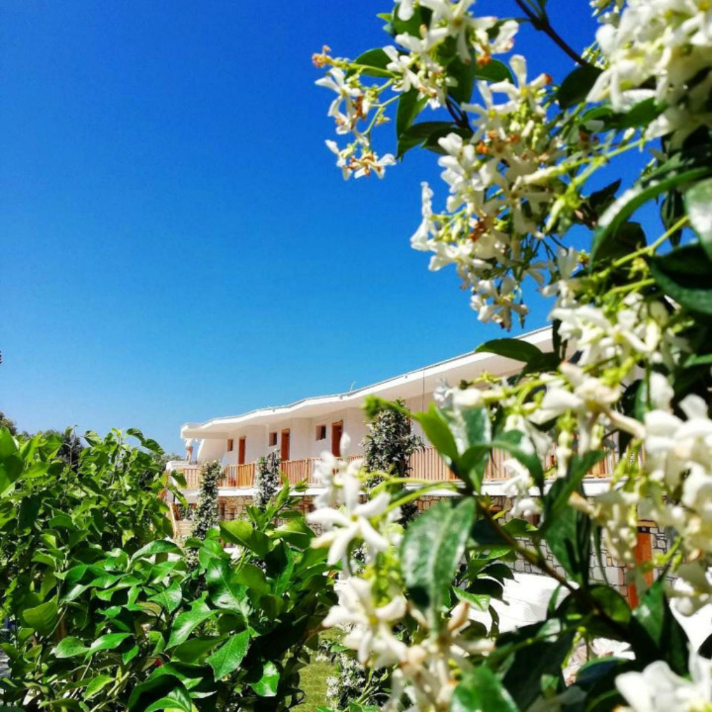 Alaçatı Barbarossa Hotel Fotoğrafları