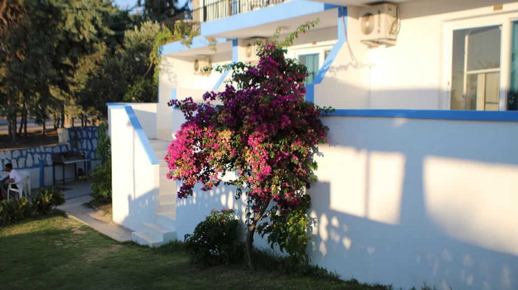 Levia Hotel Fotoğrafları