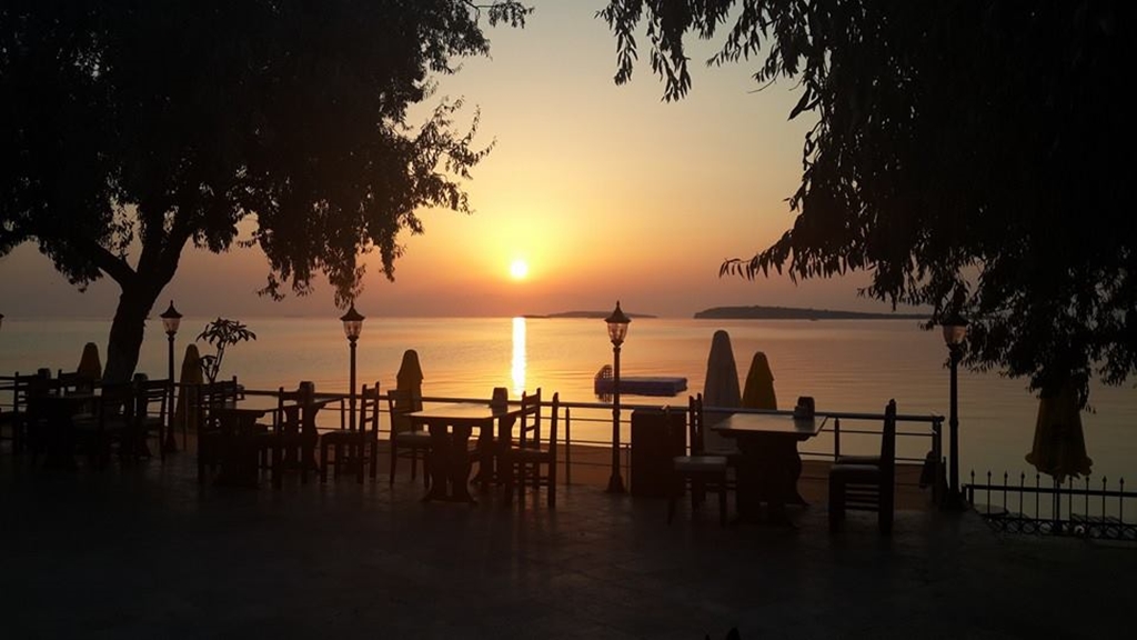 Palm Otel Fotoğrafları