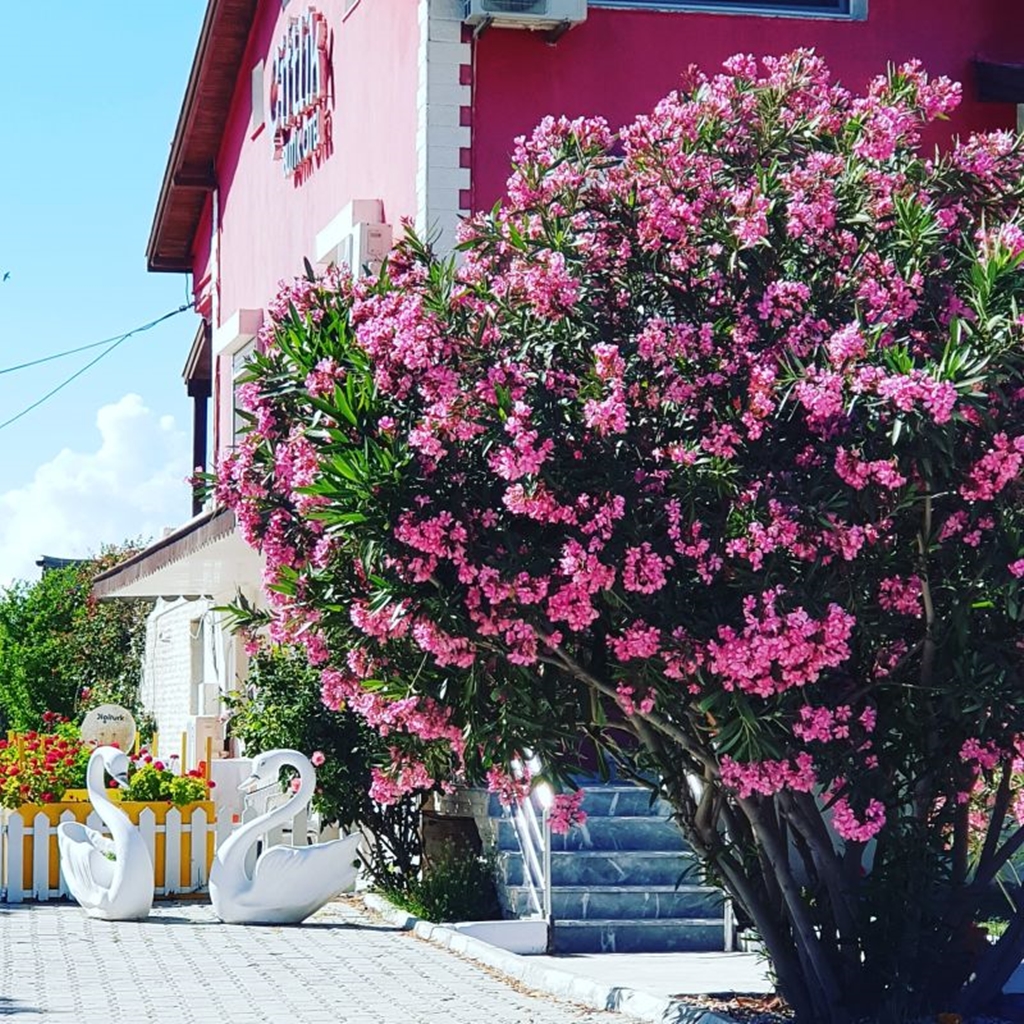 Çiftlik Butik Otel Fotoğrafları