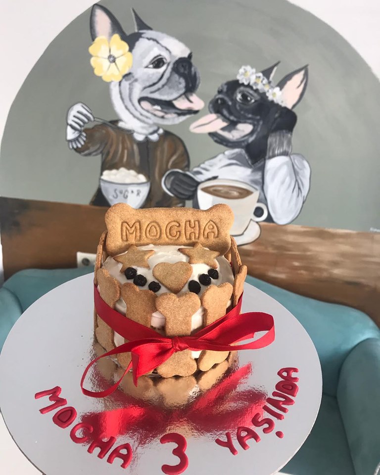 Kuki.co Fotoğrafları