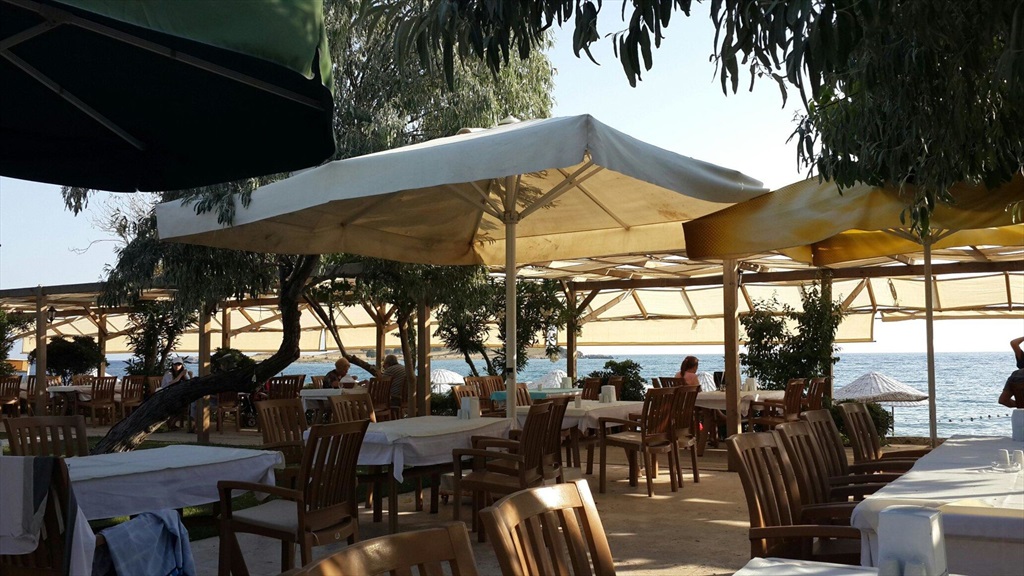 Teos Ormanci Tatil Koyu Fotoğrafları