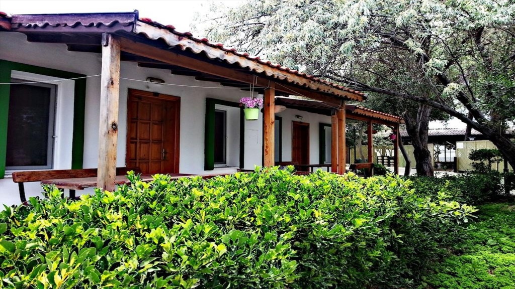 Teos Ormanci Tatil Koyu Fotoğrafları