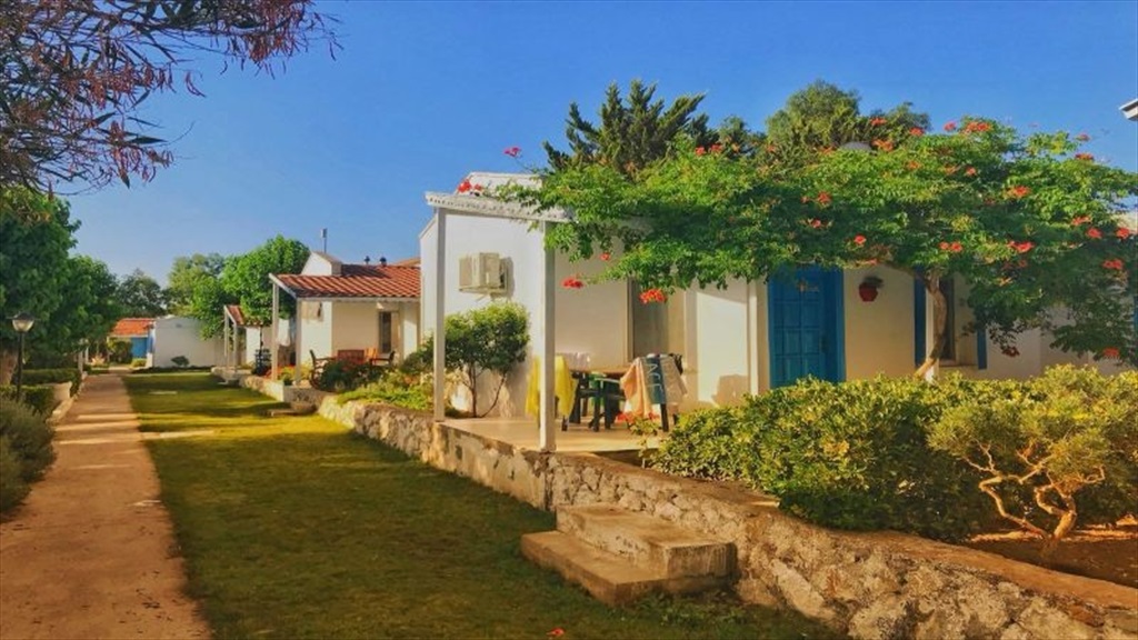 Teos Ormanci Tatil Koyu Fotoğrafları