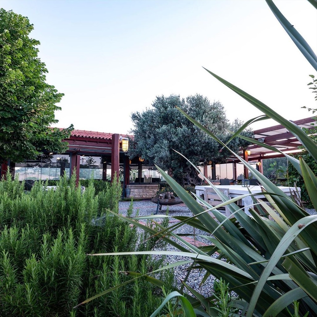 Urla Bağevi Vineyard Hotel Fotoğrafları