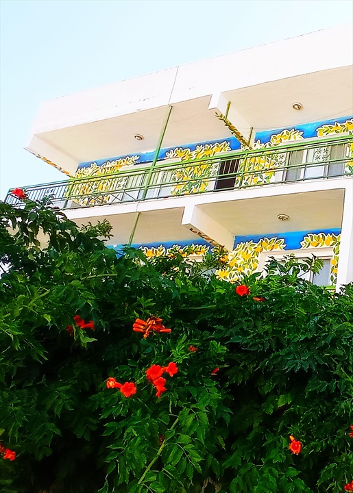 Mandalina Bahçe Cafe & Apart Fotoğrafları