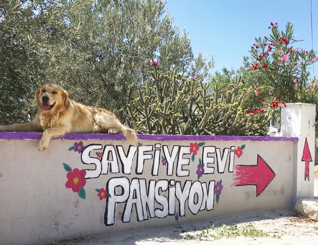 Sayfiye Evi Pansiyon Fotoğrafları