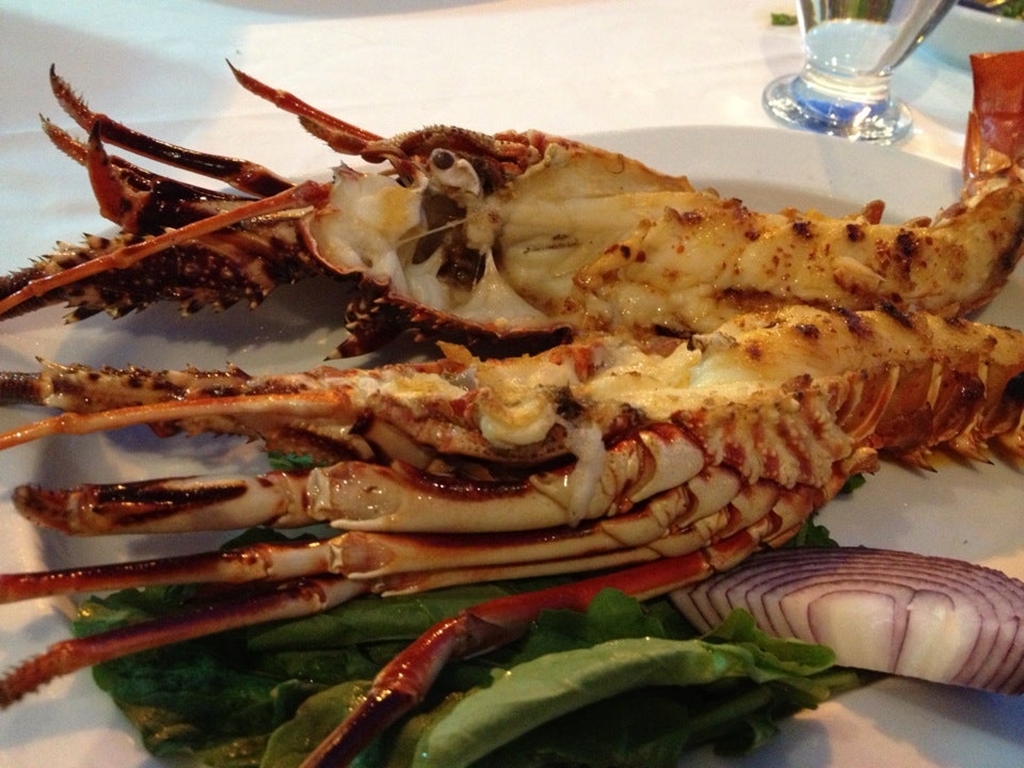 Canbaba Istakoz Fotoğrafları