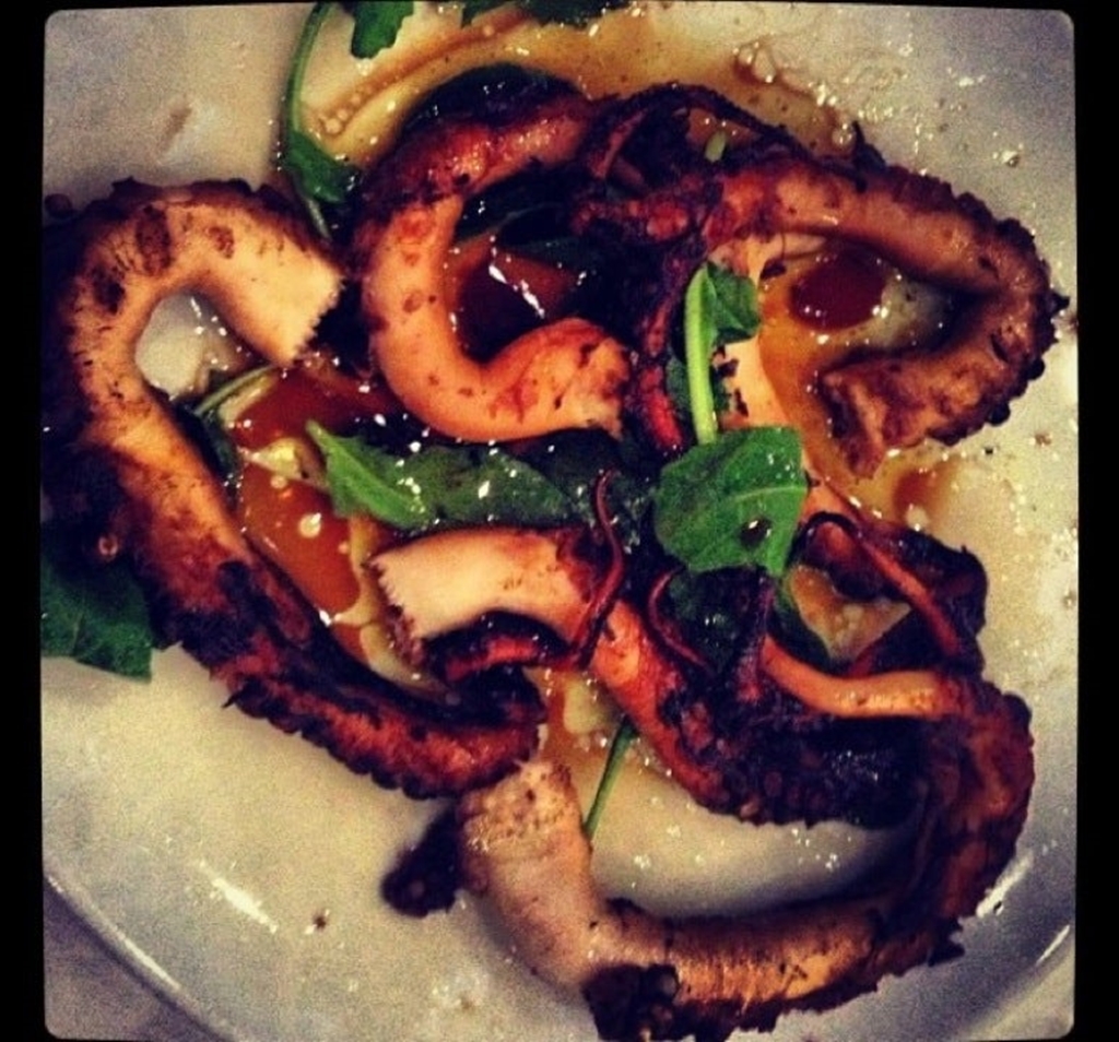 Canbaba Istakoz Fotoğrafları