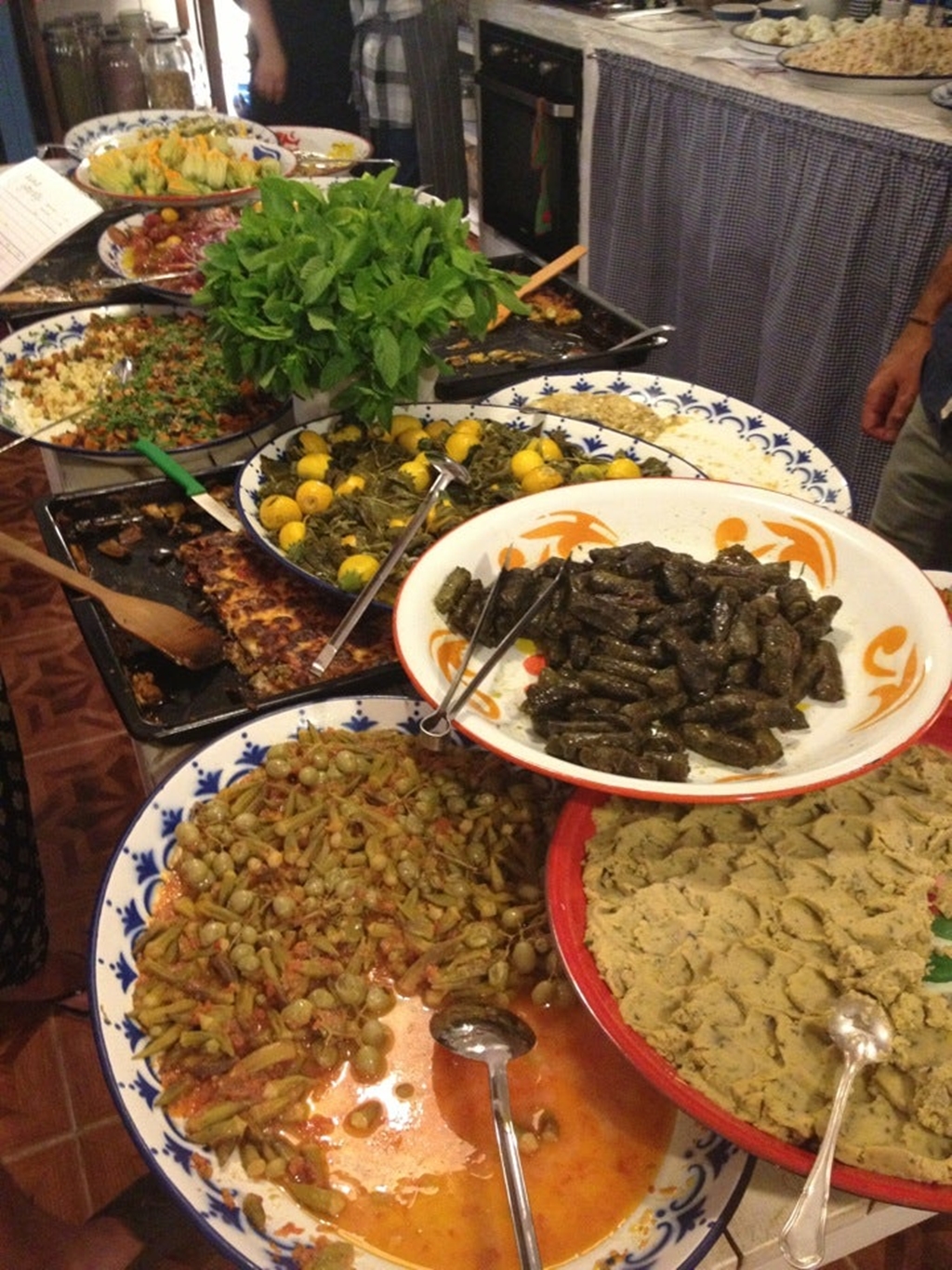 Asma Yaprağı Fotoğrafları