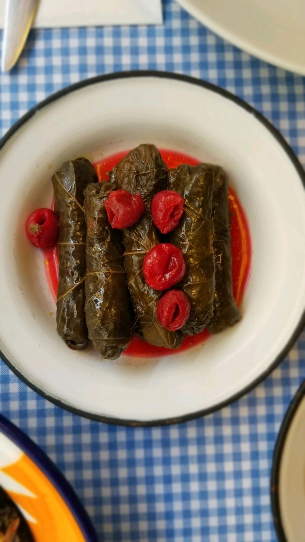 Asma Yaprağı Fotoğrafları
