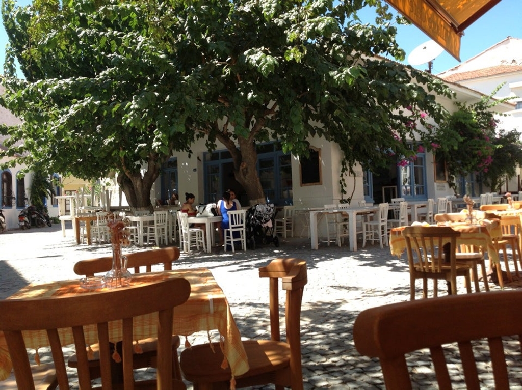 Dutlu Kahve Fotoğrafları