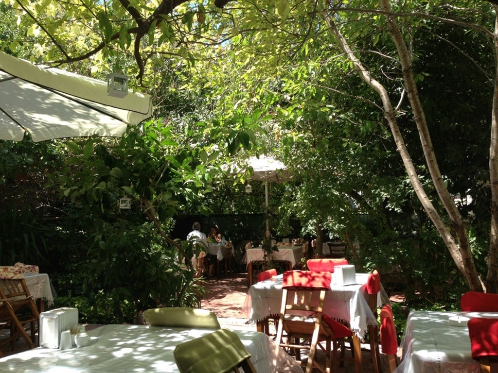 Hanımeli Lokanta Fotoğrafları