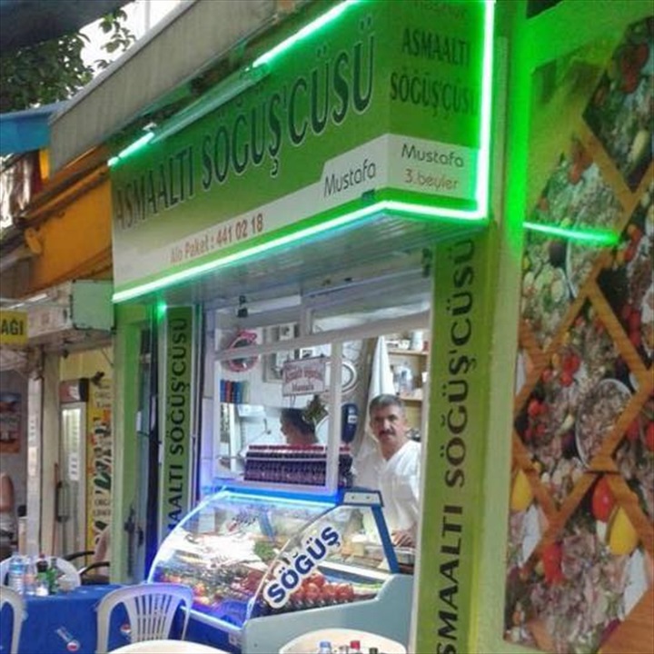 Asmaaltı Sögüşçüsü Fotoğrafları