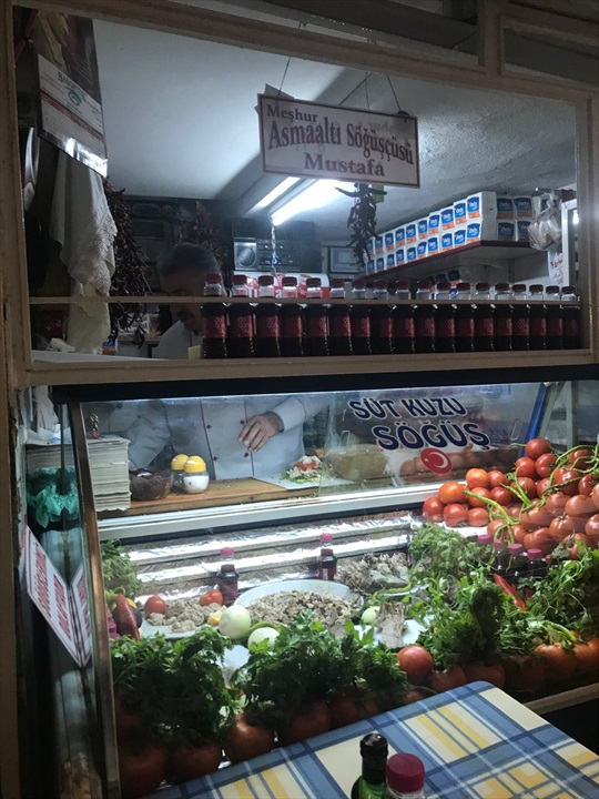 Asmaaltı Sögüşçüsü Fotoğrafları
