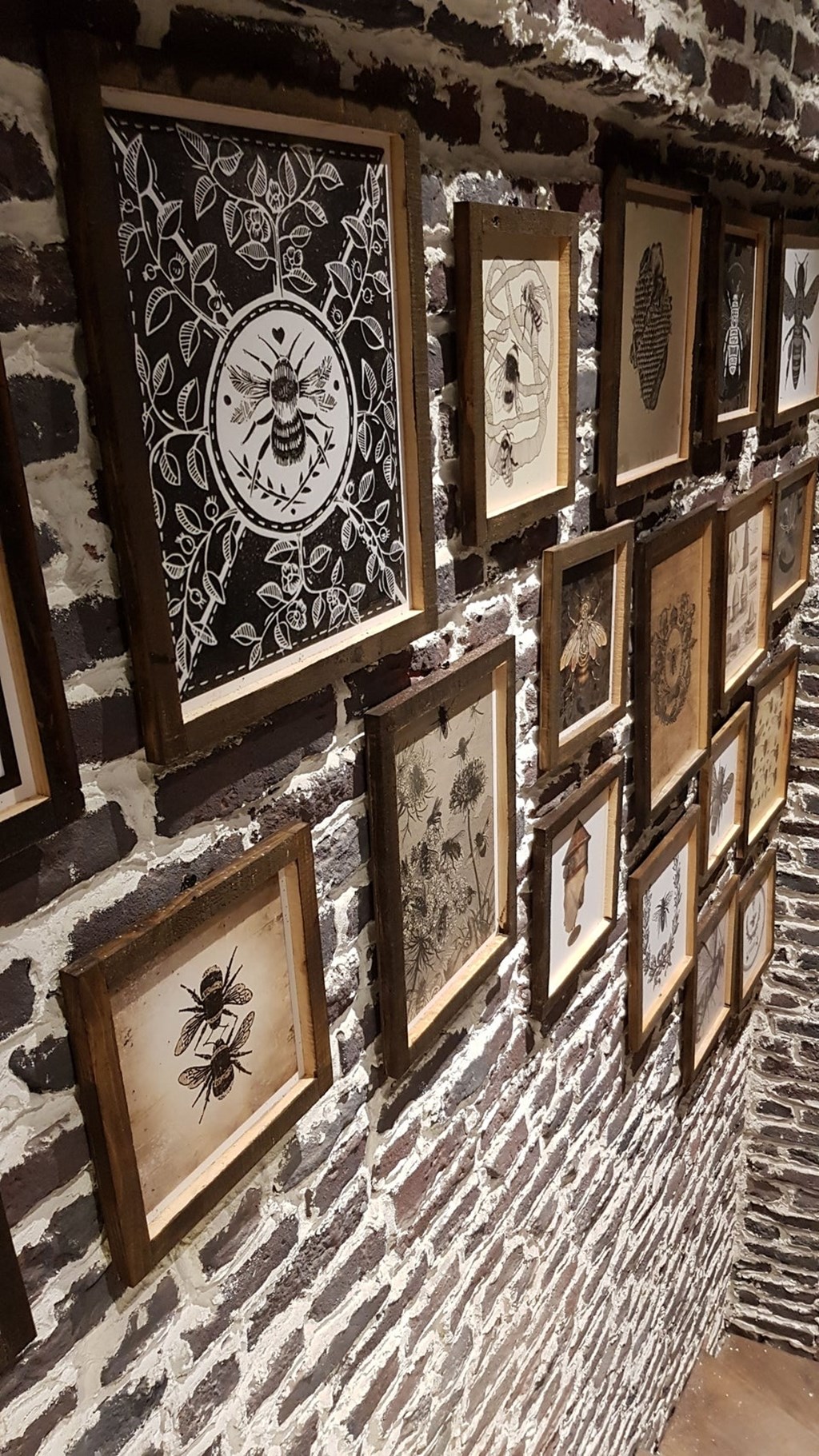 Kovan Fotoğrafları