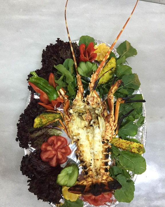 Sunar'ın Yeri Fotoğrafları