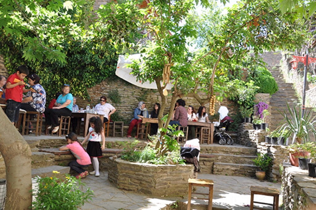 Birgi Nar Danesi Fotoğrafları