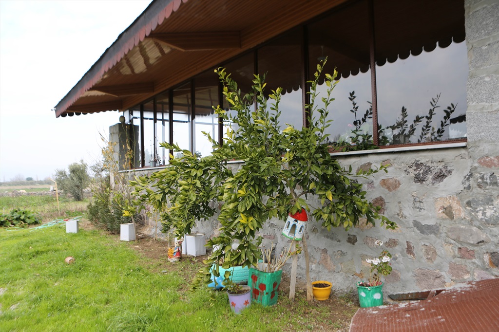 Taş Kemer Çiftliği Fotoğrafları