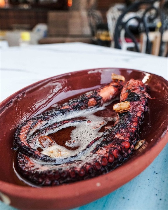 Dut Gibi Fotoğrafları