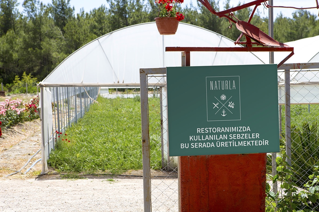 Naturla Fotoğrafları