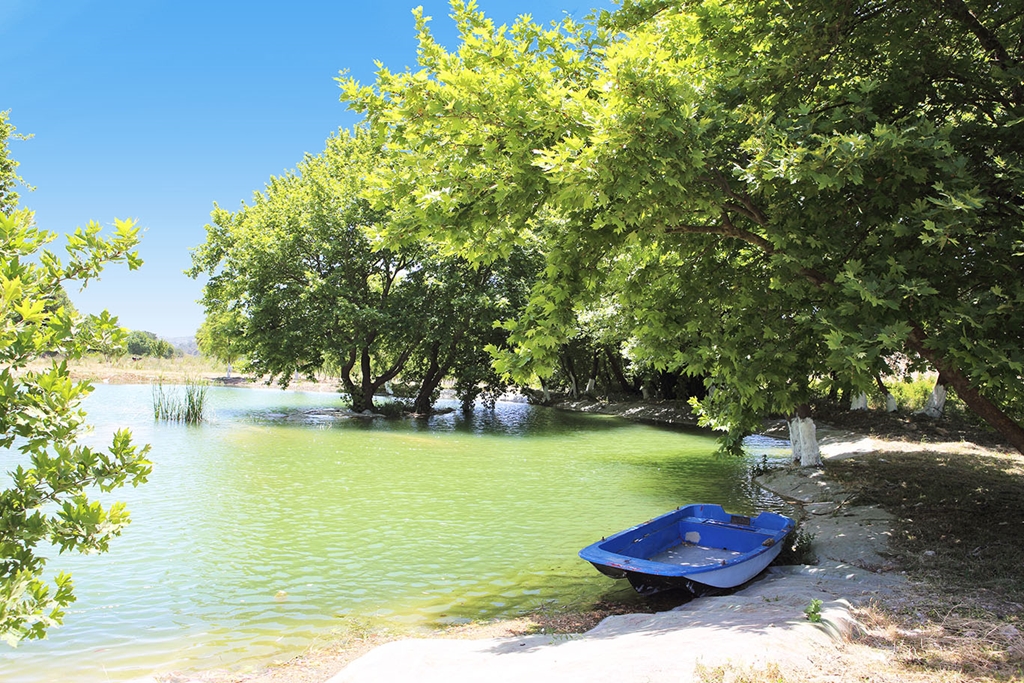 Naturla Fotoğrafları