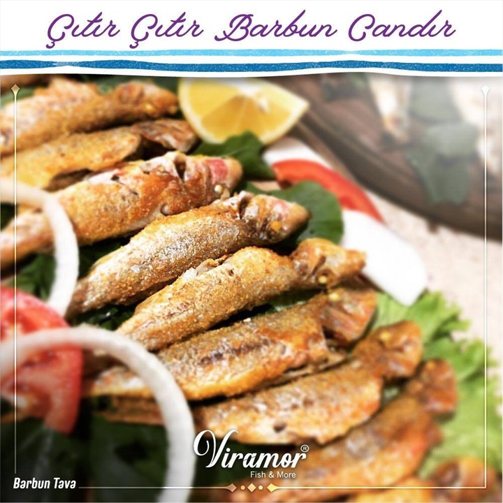 Viramor Restaurant Fotoğrafları