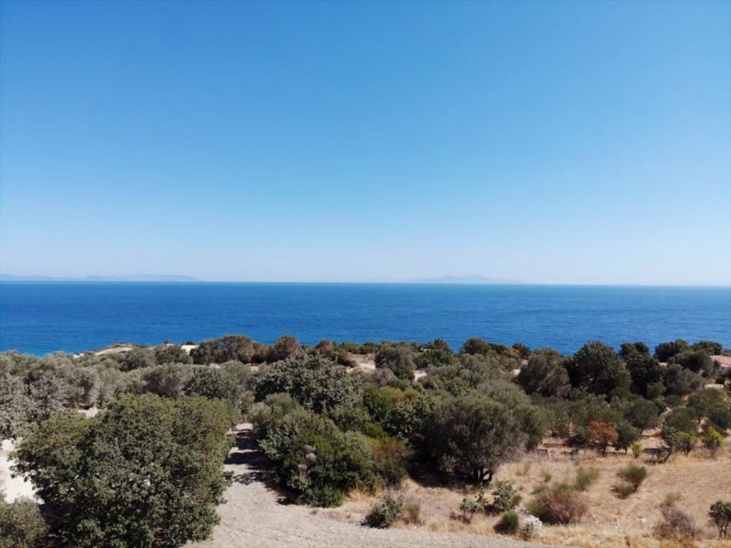 Zeytindibi Kahvaltı Mangal Fotoğrafları