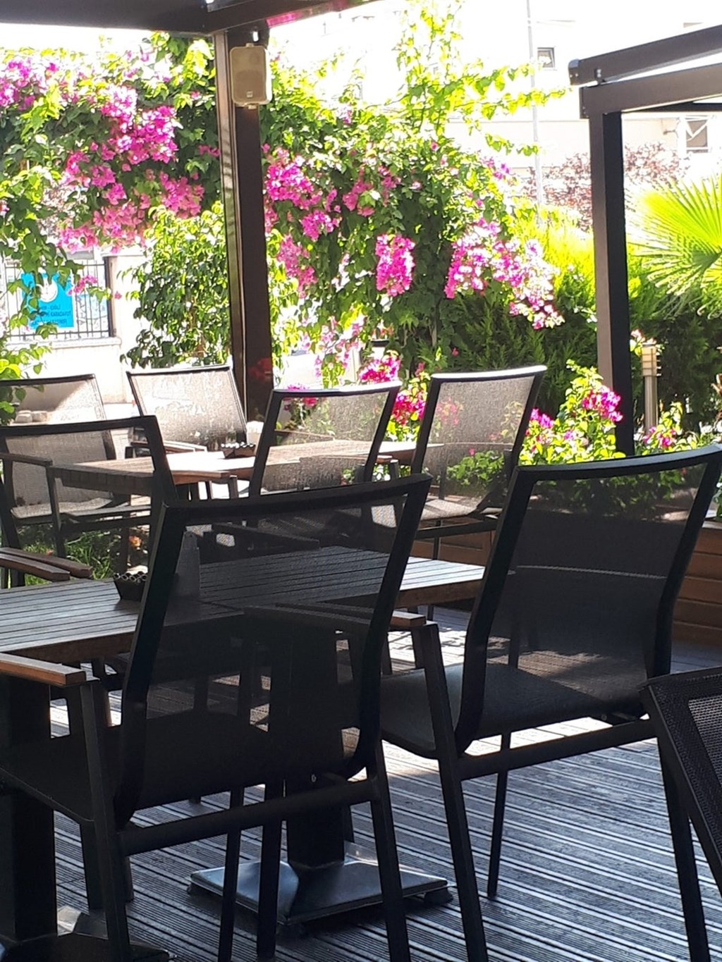 Acı Kahve Fotoğrafları