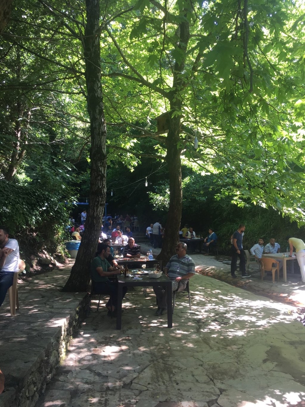 Beydağ Şelale Fotoğrafları
