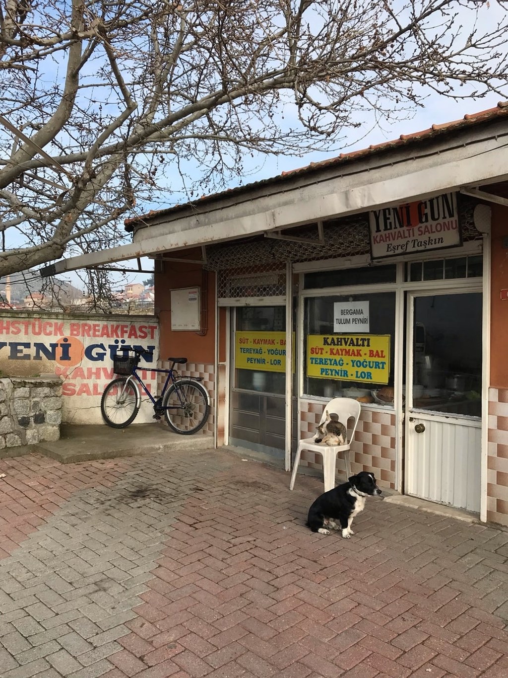Yenigün Kahvaltı Salonu Fotoğrafları