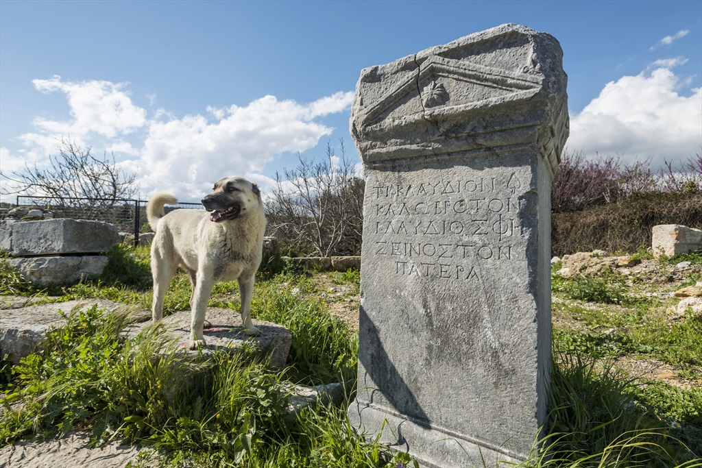 Teos Antik Kenti Fotoğrafları