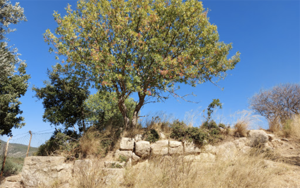 Lebedos Antik Kenti Fotoğrafları