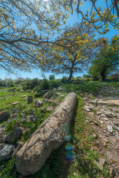 Notion Antik Kenti Fotoğrafları