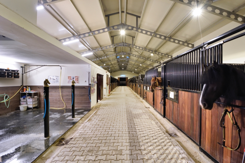 B.Equine / Range Hotel Fotoğrafları