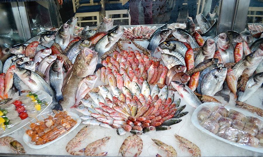 Taşkapı Balıklı Meyhane Fotoğrafları