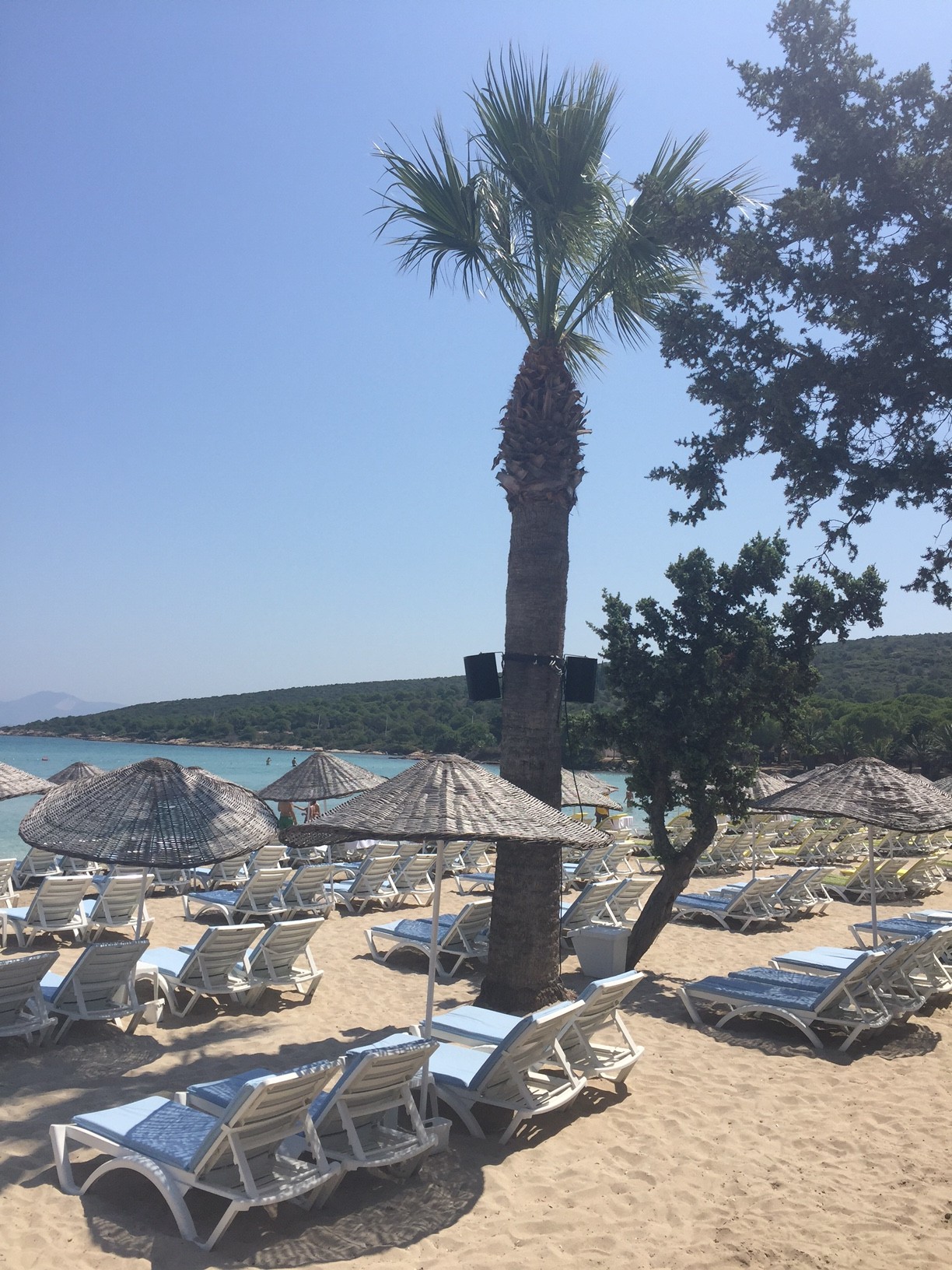 Quente Beach Club Fotoğrafları