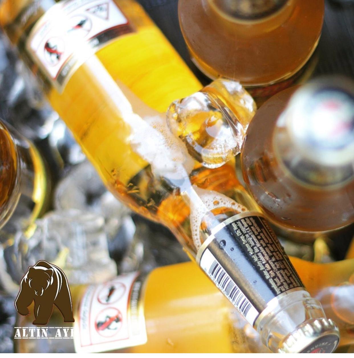 Altın Ayı Pub Fotoğrafları