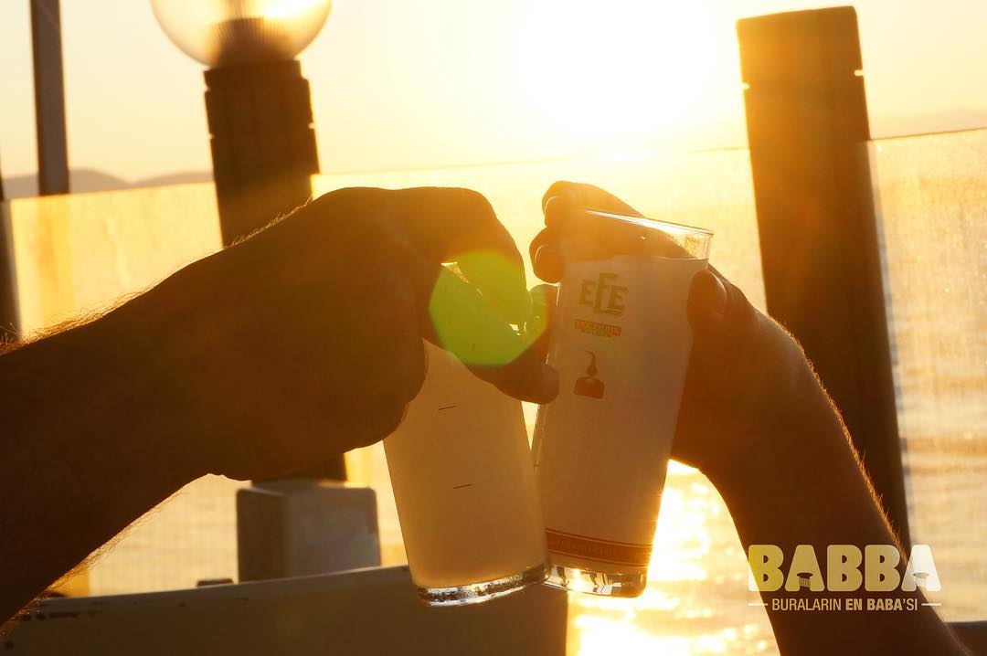 Babba Zeytinalanı Fotoğrafları