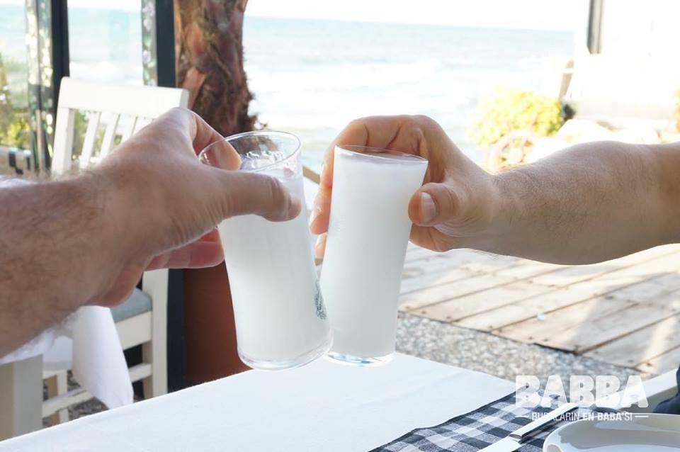 Babba Zeytinalanı Fotoğrafları