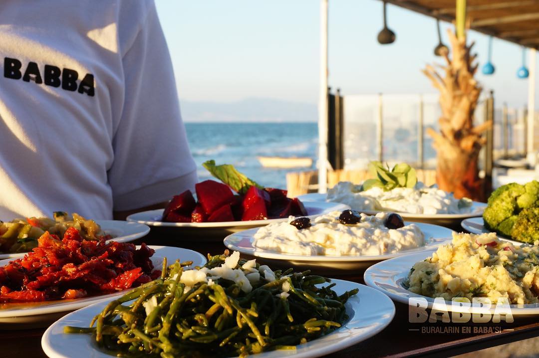 Babba Zeytinalanı Fotoğrafları