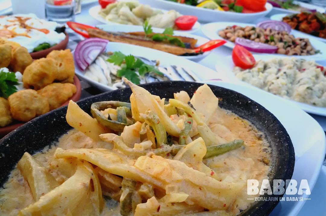 Babba Zeytinalanı Fotoğrafları