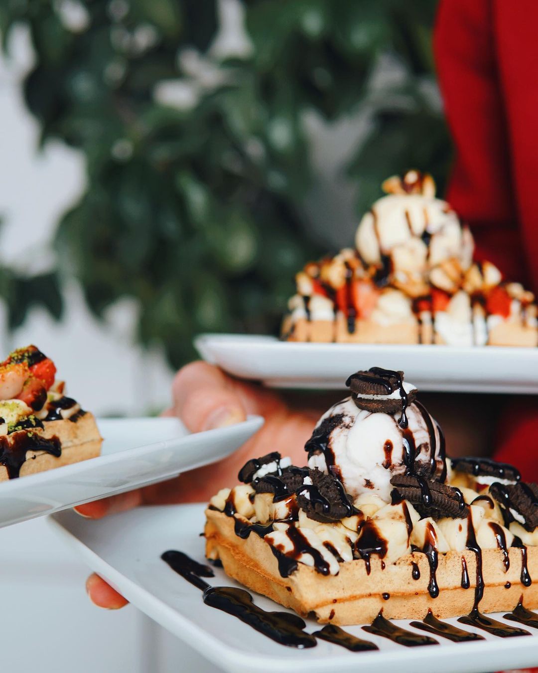 Cafe Paco Fotoğrafları