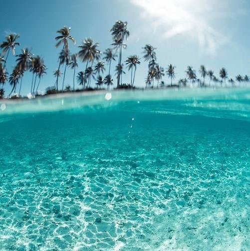 Cove Ayayorgi Fotoğrafları