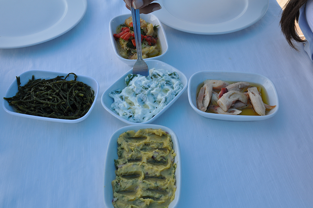 Tunay Restoran Şişede Balık Fotoğrafları
